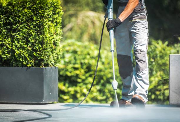 Best Fence Cleaning and Maintenance in Hermosa Beach, CA